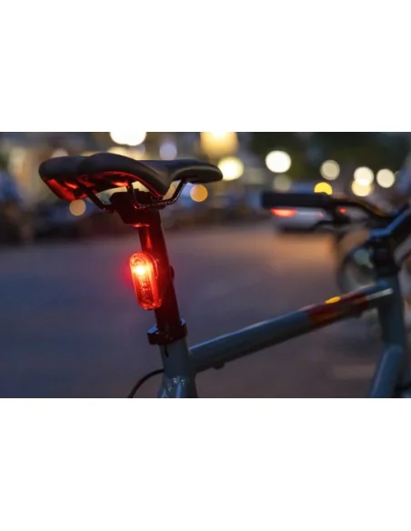 Achterlicht Sigma Curve