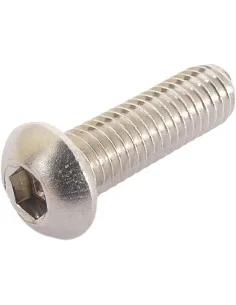 Remschijfbout Bofix M6 inbus met bolkop RVS (10 stuks)