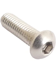 Remschijfbout Bofix M6 inbus met bolkop RVS (10 stuks) 2