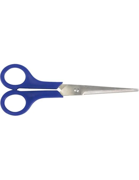 Schaar RVS Cyclus 20 cm universeel