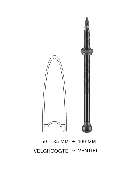 Tubeless ventiel Schwalbe 100mm (2 stuks)