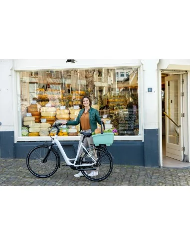 Gerecyclede (honden)fietsmand New Looxs Clipper Racktime 28 liter 49 x 37 x 29 cm - groen