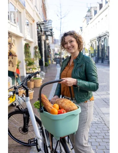 Gerecyclede (honden)fietsmand New Looxs Clipper MIK 28 liter - 49 x 37 x 29 cm - groen