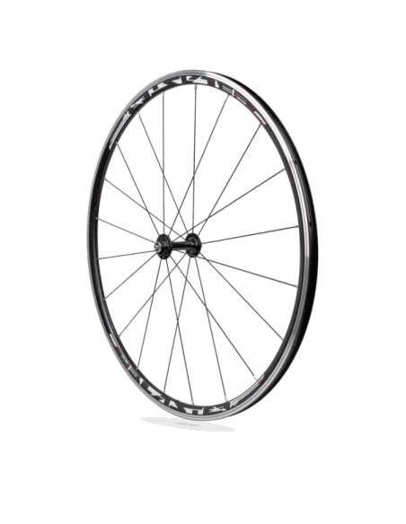 Wielset Rodi Stradale 28" race - 10/11 speed Shimano - QR