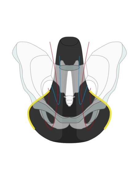 Fietszadel Wittkop Twin Medicus 3.0 City/Trekking - zwart