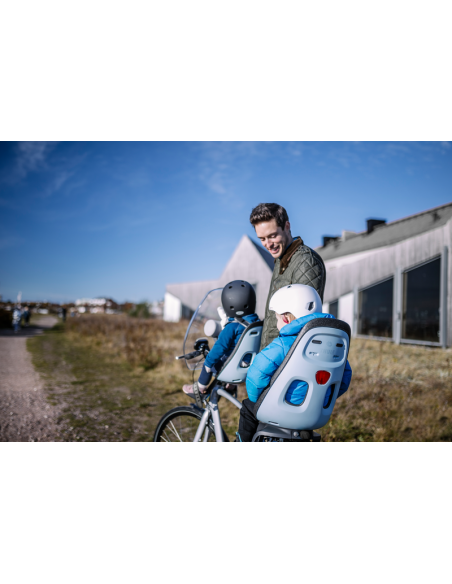 Kinderzitje achter Thule Nexxt Maxi voor bagagedragerbevestiging (RM) - momentum grey