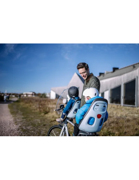 Kinderzitje achter Thule Nexxt Maxi voor bagagedragerbevestiging (RM) - momentum grey