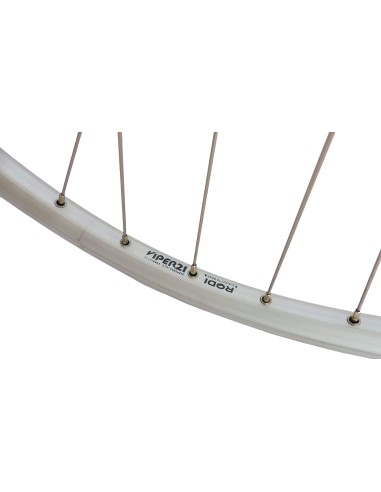 Voorwiel Rodi 28 inch / 622x21 Viper - 36 gaats - zilver