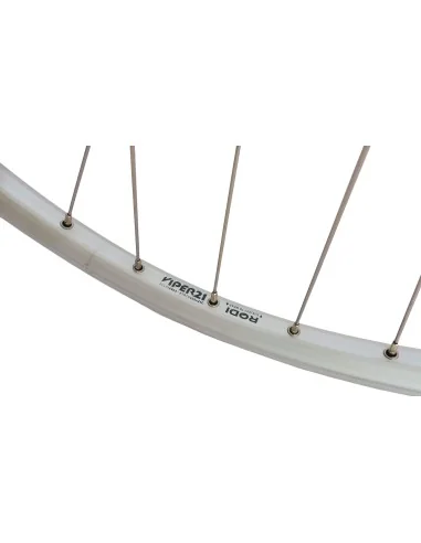 Voorwiel Rodi 28 inch / 622x21 Viper - 36 gaats - zilver