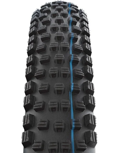 Buitenband Schwalbe Wicked Will Evo Super Race 29 x 2.40"/62-622mm - transparant sidewall