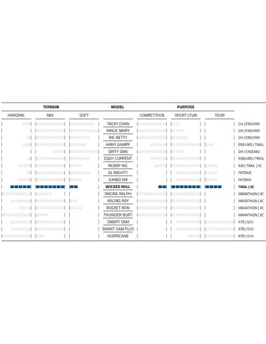 Buitenband Schwalbe Wicked Will Evo Super Race 29 x 2.40"/62-622mm - transparant sidewall