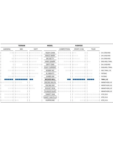 Buitenband Schwalbe Wicked Will Evo Super Race 29 x 2.40"/62-622mm - transparant sidewall