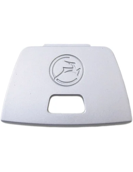 Beschermkapje achterlicht Powervision-2011