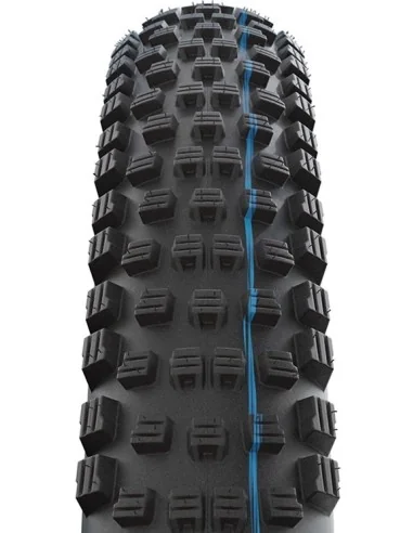 Buitenband Schwalbe Wicked Will Evo Super Race 29 x 2.40"/62-622mm - transparant sidewall