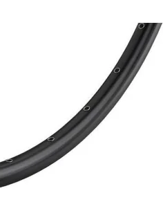 Velg Ryde ZAC 2000 disc 28" / 622*19C aluminium - 36 gaats 14G - mat zwart