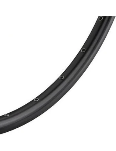 Velg Ryde ZAC 2000 disc 28" / 622*19C aluminium - 36 gaats 14G - mat zwart