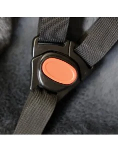 Edge CargoComfy Peuterschaal - 7-19 maanden - grijs