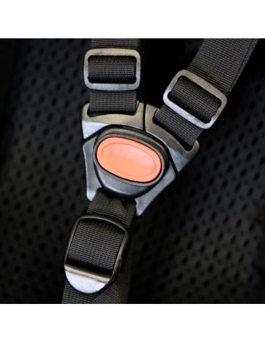 Edge CargoComfy Peuterschaal 7-19 maanden - zwart