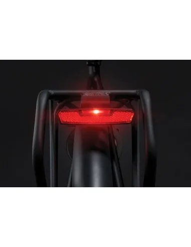 Dragerachterlicht Axa Juno Dynamo Steady 50 mm - rood