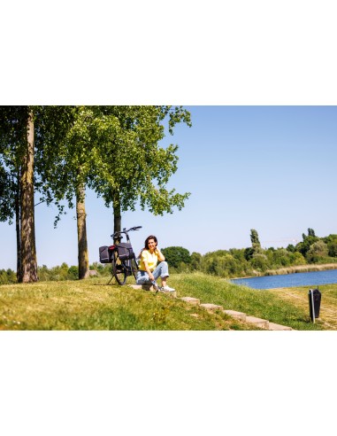 Dubbele fietstas New Looxs Mondi Joy Double - 38 liter - 39 x 18 x 32 cm (2x) - Nima Black