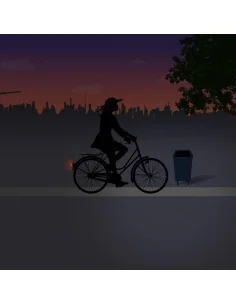 Achterlicht Spanninga Pixeo XB voor spatbordmontage - chroom - met beschermbeugel 2