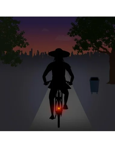 Achterlicht Spanninga Pixeo XB voor spatbordmontage - chroom - met beschermbeugel