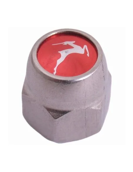 Achteras siermoer Gazelle remnaaf 3/8" x 24g - 21 mm RVS