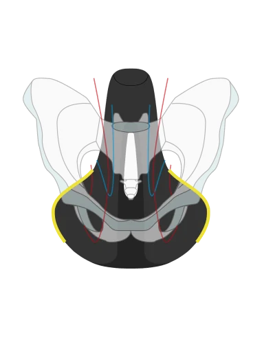 Fietszadel Wittkop Twin Medicus 3.0 City/Trekking - zwart