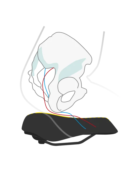 Fietszadel Wittkop Twin Medicus 3.0 City/Trekking - zwart