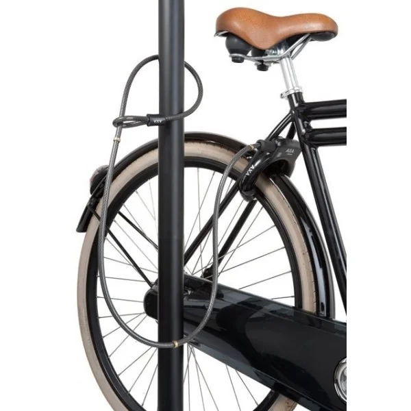 Insteekkabel Axa RLD 180/12 - donkergrijs