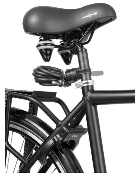 Insteekkabel Axa Newton PI 180/10 - zwart