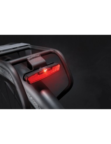 Dragerachterlicht Axa Juno E-Bike 6-12 Volt 80 mm - rood