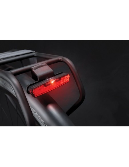 Dragerachterlicht Axa Juno E-Bike 6-12 Volt 80 mm - rood