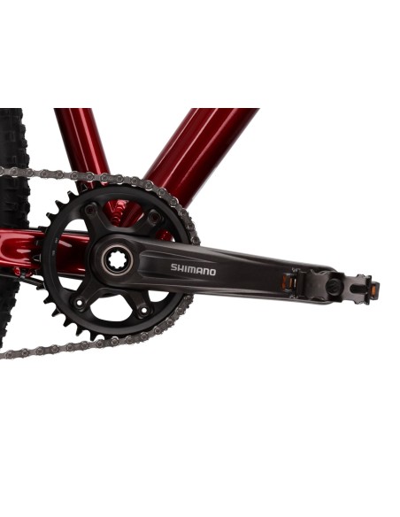 Mountainbike Kross Level 6.0 MTB - 29 inch - Frame M (17 inch) - Ruby Silver Gloss