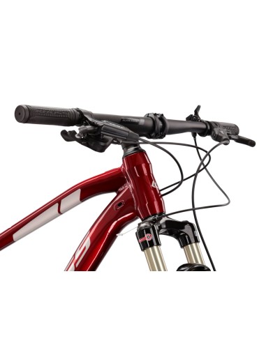 Mountainbike Kross Level 6.0 MTB - 29 inch - Frame M (17 inch) - Ruby Silver Gloss