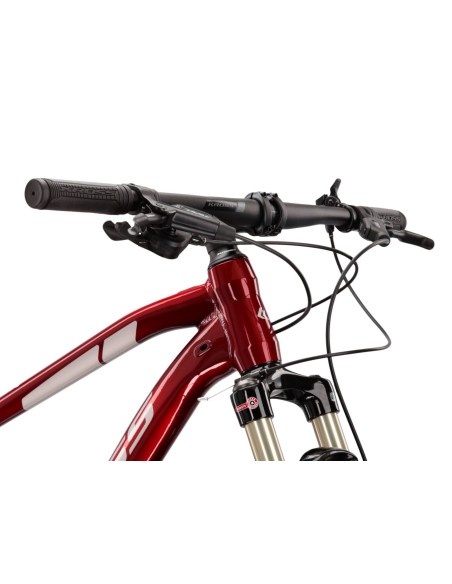 Mountainbike Kross Level 6.0 MTB - 29 inch - Frame M (17 inch) - Ruby Silver Gloss