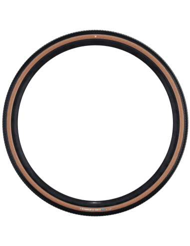 Vouwband Schwalbe G-One R Pro 28 x 1.70" / 45-622mm - transparent sidewall
