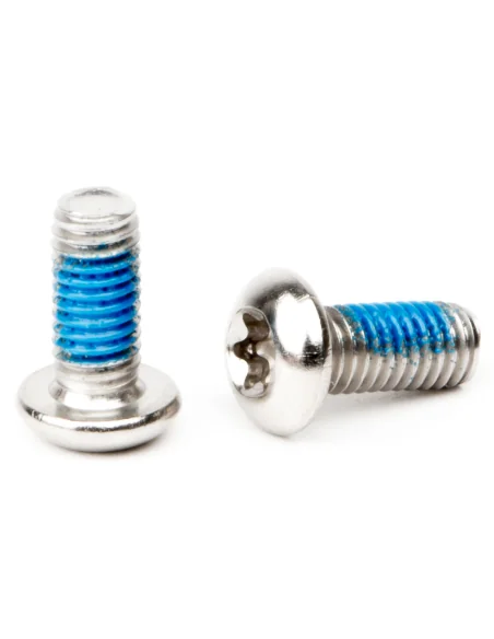 Remschijfboutjes Elvedes M5 × 11 RVS (10 stuks)