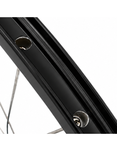 Achterwiel 28 1/4inch Nexus 8 naaf (zwart) - ZAC2000 velg (zwart) met RVS spaken - voor schijfrem