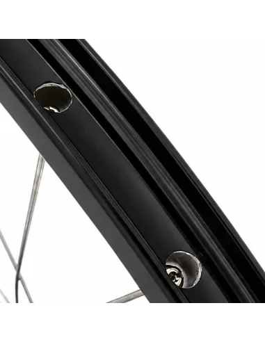 Achterwiel 28 1/4inch Nexus 8 naaf (zwart) - ZAC2000 velg (zwart) met RVS spaken - voor schijfrem