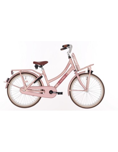 Kinderfiets BIKEFUN KIDS Load RN 20'' - mat/mahogany roze