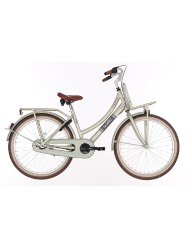Kinderfiets BIKEFUN KIDS Load New 24'' met voor- en achterdrager - mat/desert sage