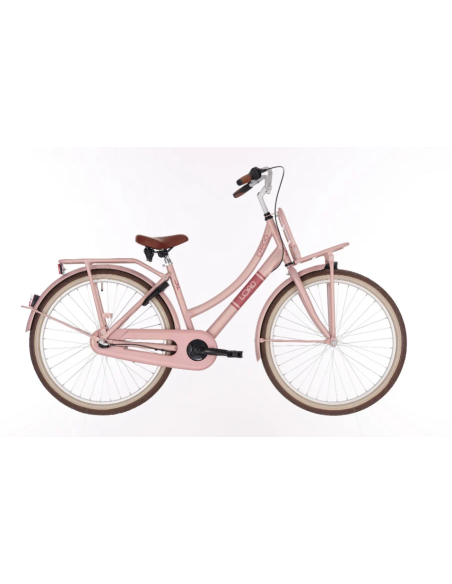 Kinderfiets BIKEFUN KIDS Load New 26'' met voor- en achterdrager - mat/mahogany roze