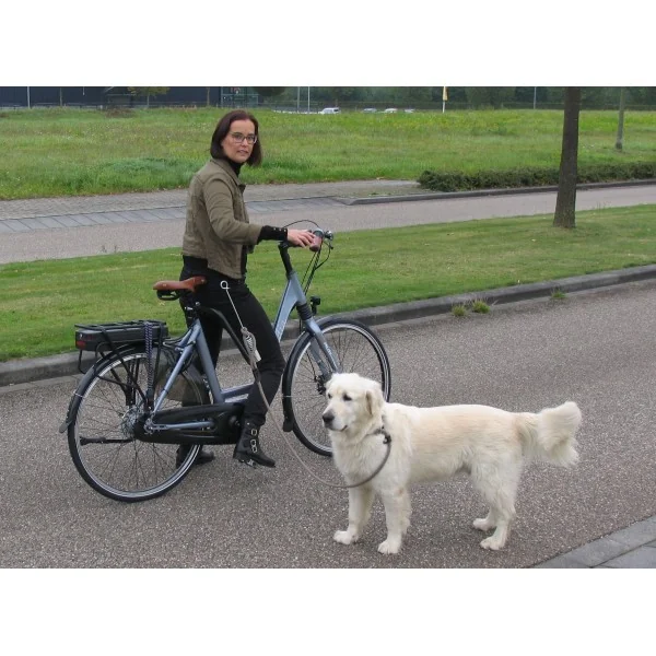 Hondenbeugel met springveer M-Wave "Dog walk"