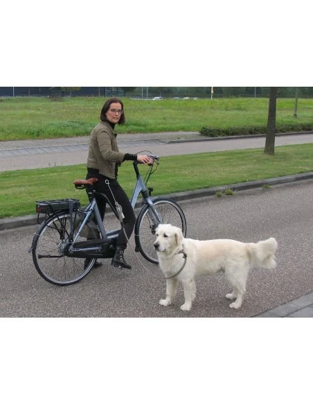 Hondenbeugel met springveer M-Wave "Dog walk"