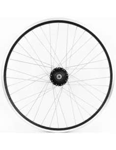 Achterwiel 28 inch ZAC2000 met Shimano Nexus 5 Rollerbrake - zwart geslepen