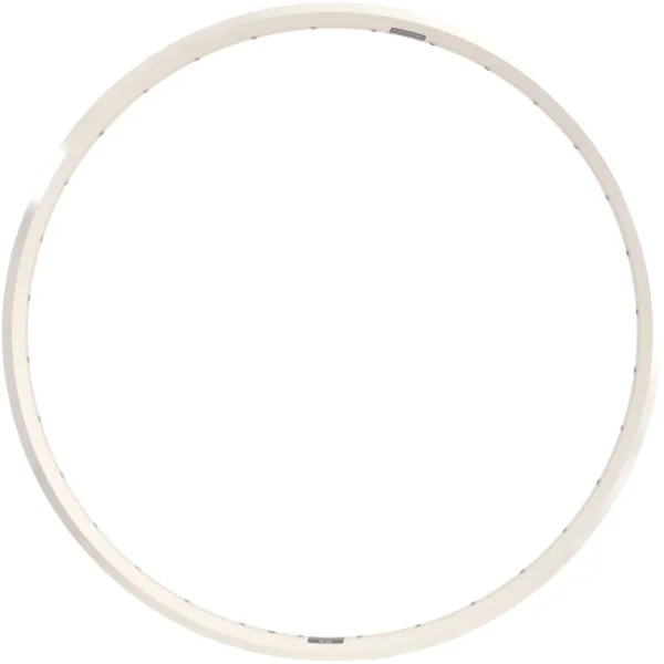 Velg Ryde ZAC 2000 28" / 622 x 19C aluminium 36 gaats 14G - zilver