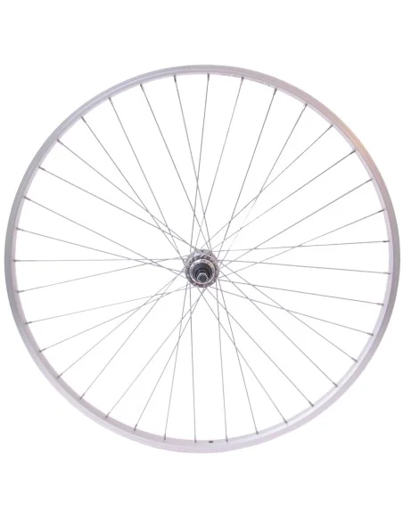 Voorwiel Rodi 28" / 622*21 Parallex - zilver