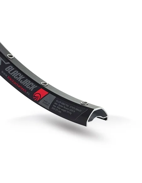 Wielset 29" Rodi Ready 25 Disc - 15x100 + 12x142 mm steekas - 10/11 speed - 28gat