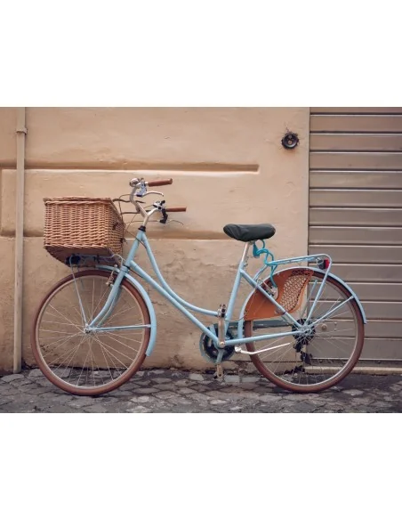 Zadeldekje DS Covers Nord - universeel